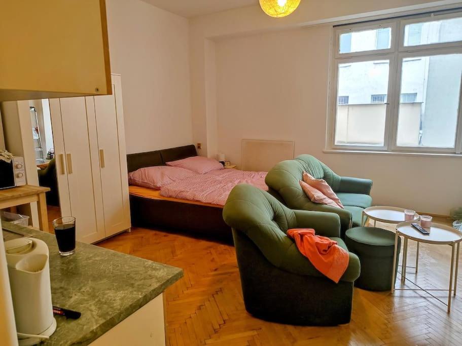 Cosy Warm Apartment In The Heart Of Prague. מראה חיצוני תמונה